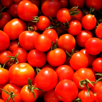 tomates-cerises.jpg - 121,03 kB