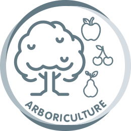 arboriculture.png - 33,14 kB
